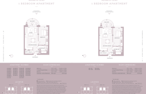 WaterlilyE1.08.01 Fl