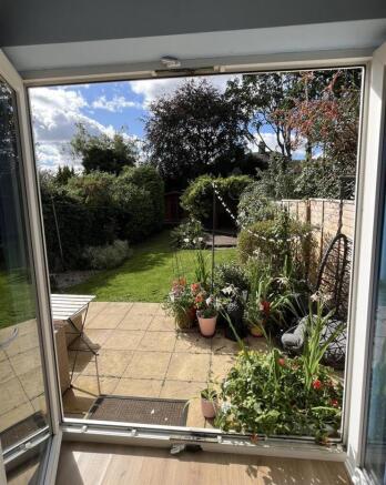 view from french doors.jpeg