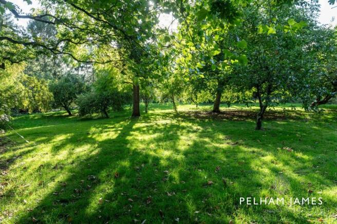 Paddock, Brooke House, East Norton
