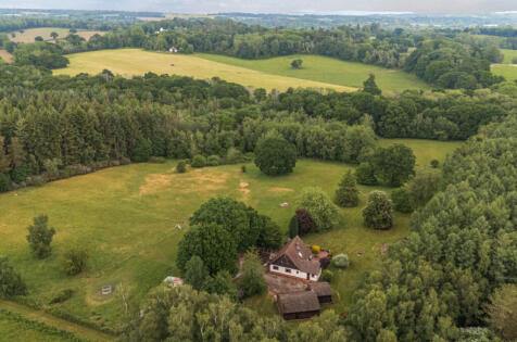 Landford Wood, Salisbury, Wiltshire, SP5