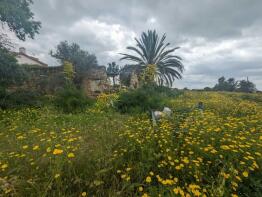 Photo of Bogaz, Famagusta