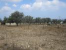 Land in Yenierenkoy, Famagusta for sale