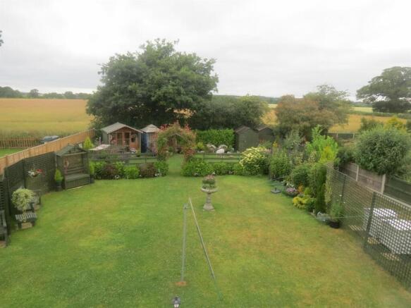Garden 5.jpg