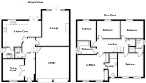 38 dove close.PNG