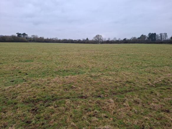 Lot 3