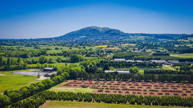 View From Local Area