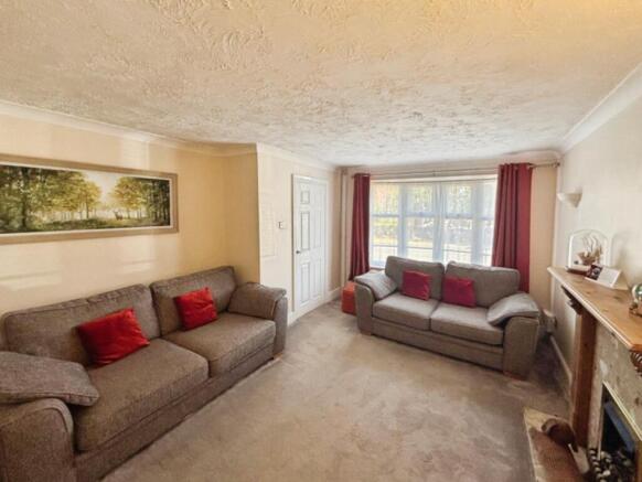 393efefb-IMG_7613 202.jpg