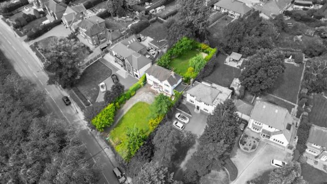 DJI_0511_1-1.jpg