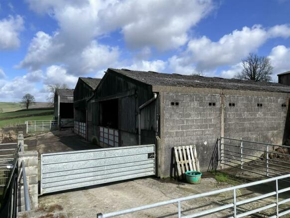 cattle barns1.JPEG