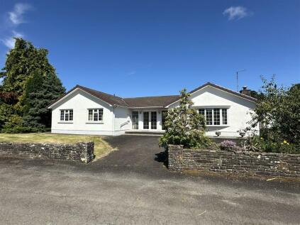 Falcondale Drive, Lampeter