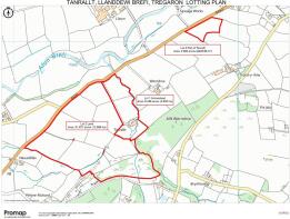 Tanrallt Llanddewi Brefi Lotting Plan.jpeg