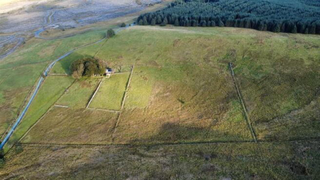 THE LAND