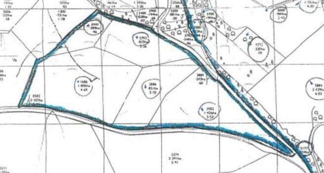 Moelifor Plan of 13 acres.jpg