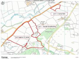 TANRALLT LOTTING PLAN.jpg