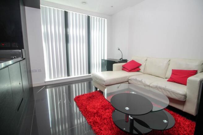 Living/Sleeping Area