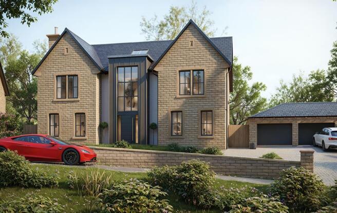 Front Aspect