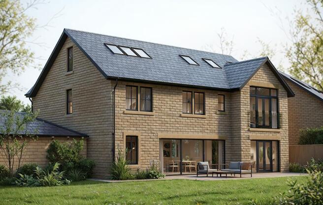 Rear Aspect