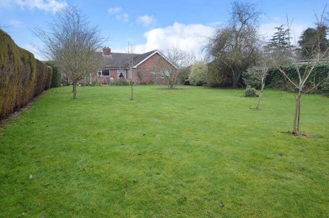 Rear of Property