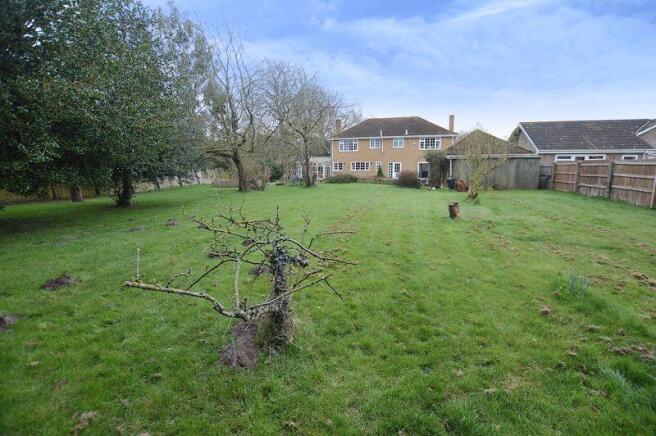 Rear of Property