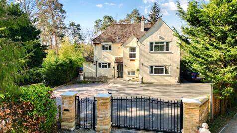 Dukes Covert, Bagshot, Surrey, GU19