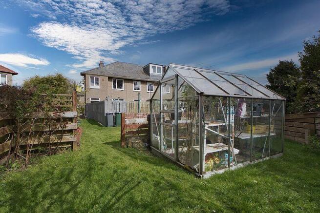 Back Garden