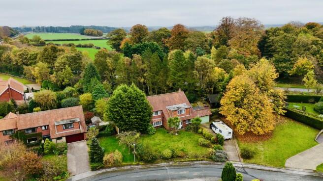 Thumbnail_DJI_20241031103437_0039_D