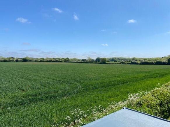 Field view