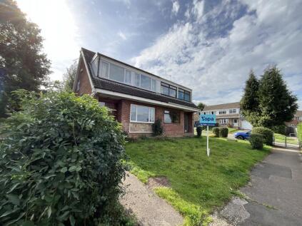 Elm Tree Avenue, Belper, DE56