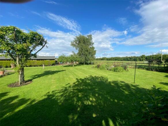 Garden & Field View