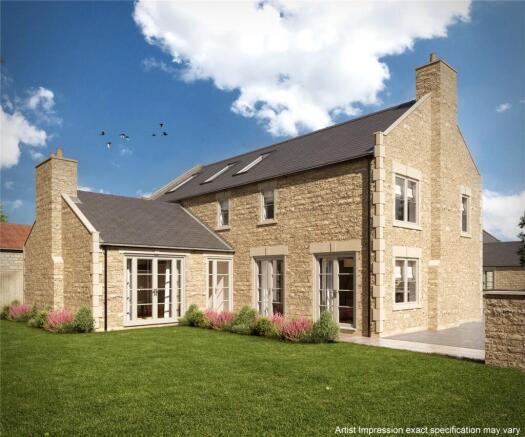Rear Elevation