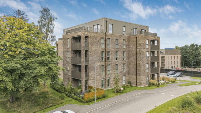 9-web-or-mls-50 S...