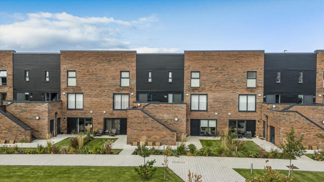 1-print-45 Festiv...