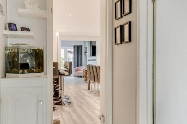 PHOTO-2026-01-13-20-54-07 3.jpg