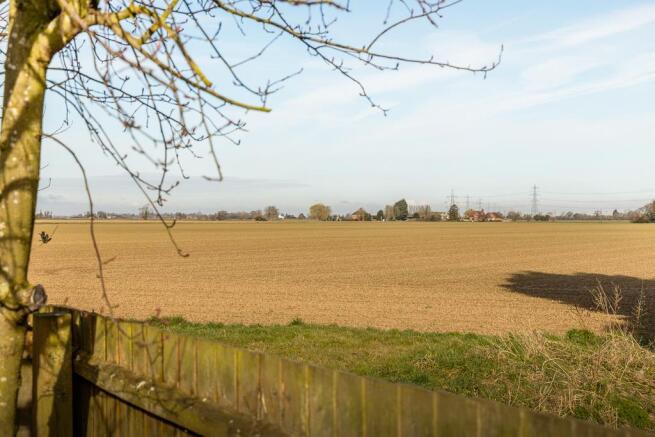 10 Tulip Fields (Whaplode)-21.jpg