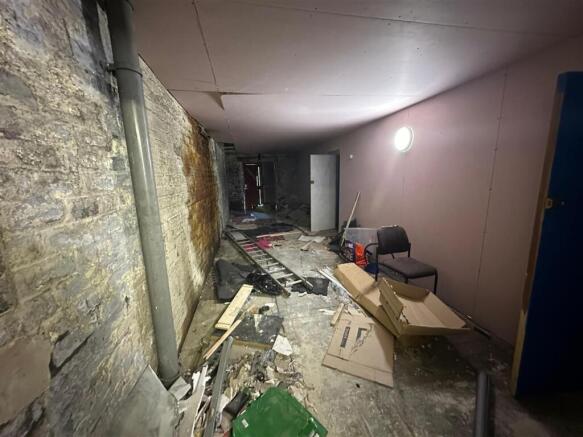 WhatsApp Image 2025-07-07 at 11.37.11 AM.jpeg