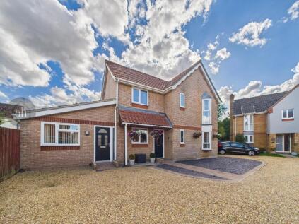 Cloverfields, Thurston