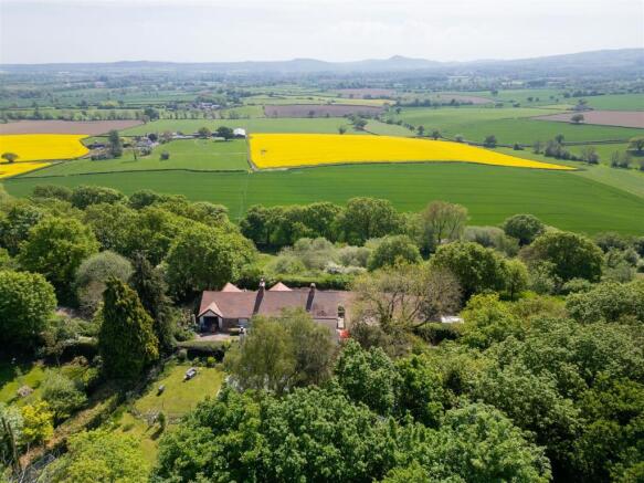 010_DJI_0628.jpg