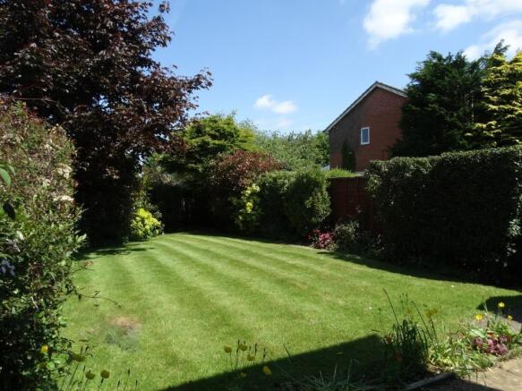 garden.jpg