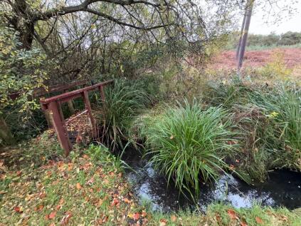 Winston Avenue, Poole, Dorset, BH12