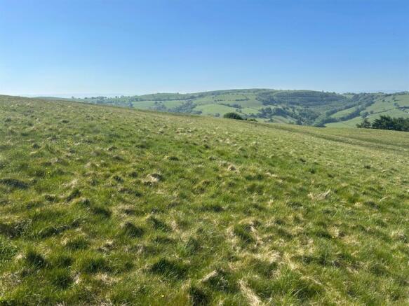 WhatsApp Image 2025-06-12 at 11.30.45 (3).jpeg