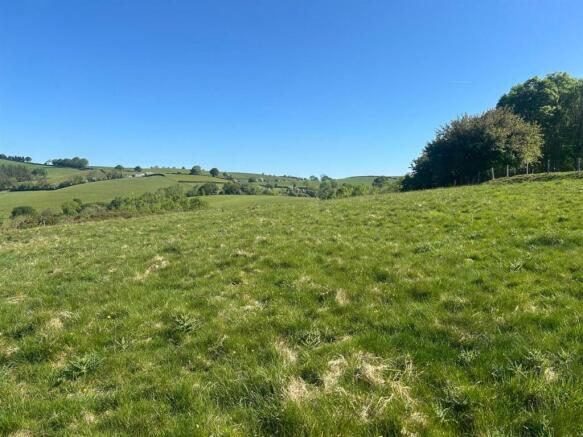 WhatsApp Image 2025-06-12 at 11.32.56.jpeg