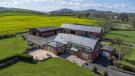 DJI_0494.jpg
