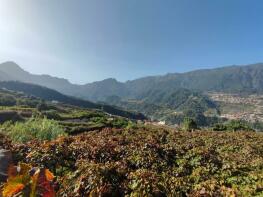 Photo of Madeira, Sao Vicente