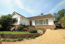 Bungalows for sale in chandlers ford eastleigh #3