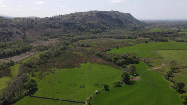 Approx. 81.58 Acres (33ha) of Agricultural Land a