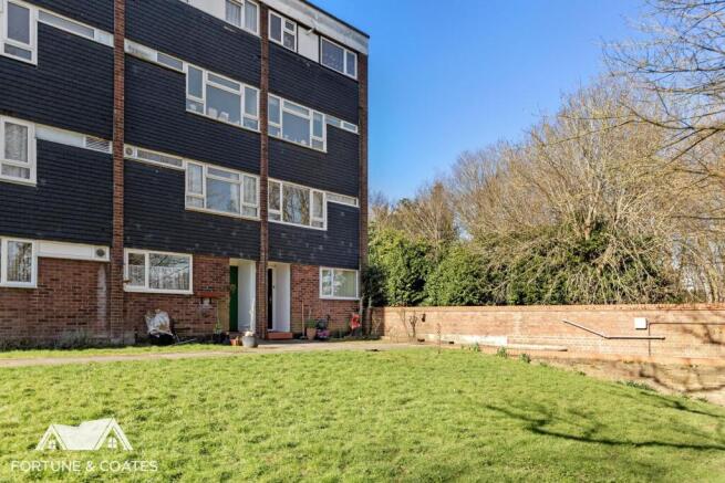 ParkCourt_15.jpg