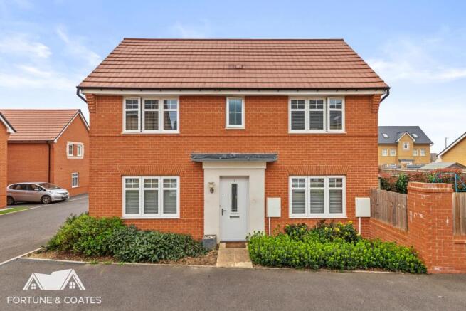 GadwallClose_1.jpg
