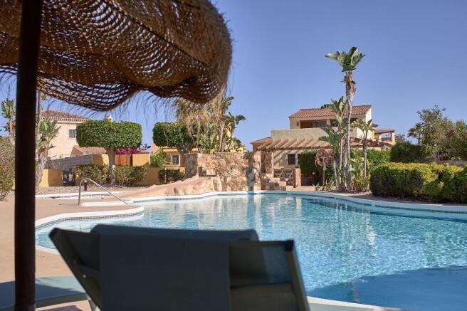 Pool and gardens