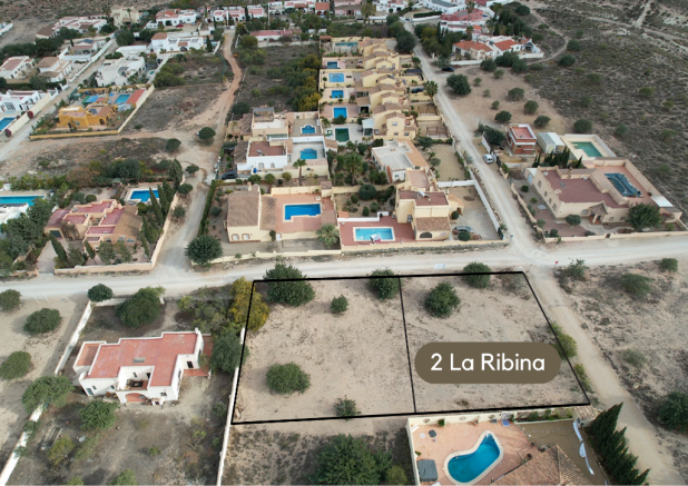 La Ribina 2 plot