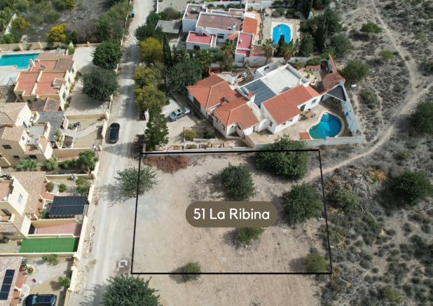 La Ribina plot 51